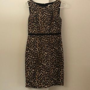 Leopard Print Cotton Sheath Work/Office Dress